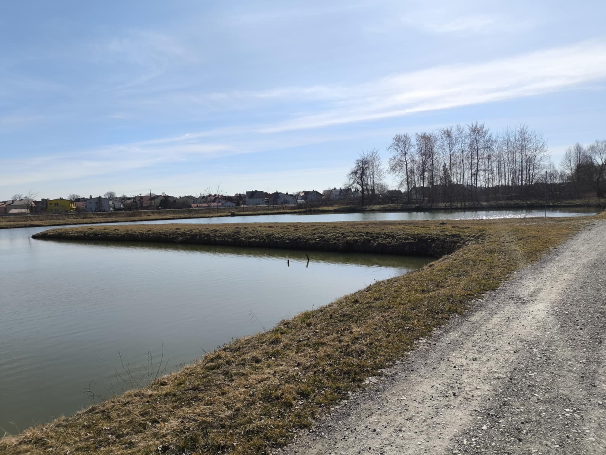 Zabieniec radomysl wielki